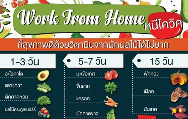 work from home หนีโควิด