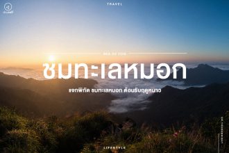 จุดชม ทะเลหมอก